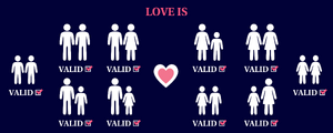 Love is Valid 2.png